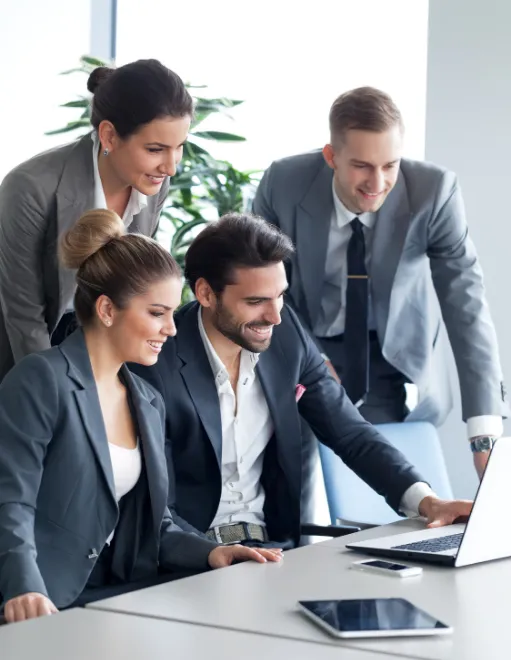 SECTION 4 -Who professional IT services are for